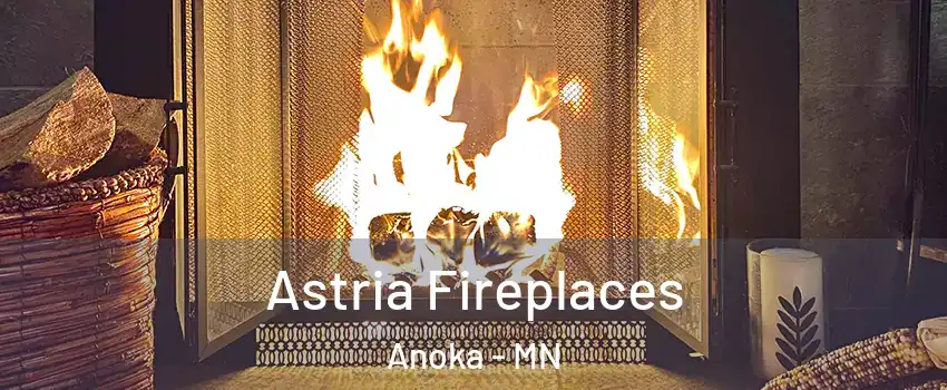  Astria Fireplaces Anoka - MN