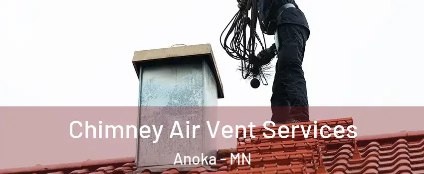  Chimney Air Vent Services Anoka - MN