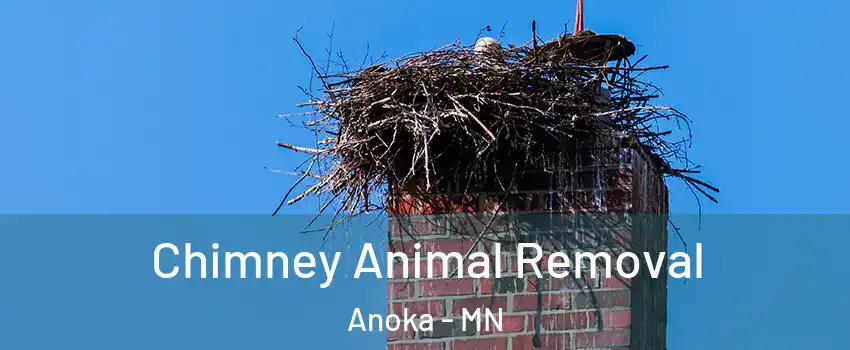 Chimney Animal Removal Anoka - MN