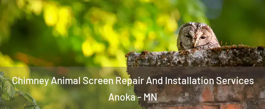  Chimney Animal Screen Repair And Installation Services Anoka - MN
