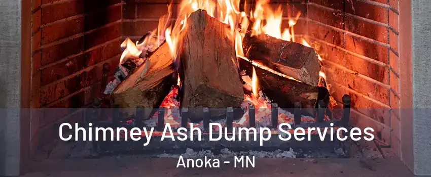  Chimney Ash Dump Services Anoka - MN