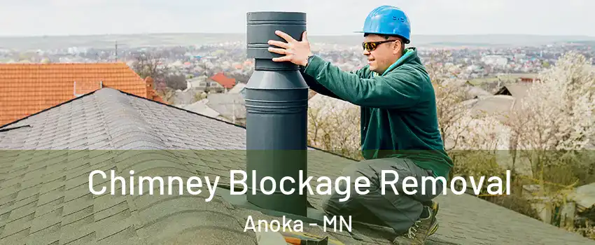  Chimney Blockage Removal Anoka - MN