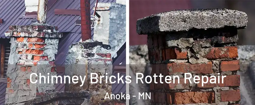 Chimney Bricks Rotten Repair Anoka - MN