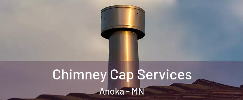  Chimney Cap Services Anoka - MN