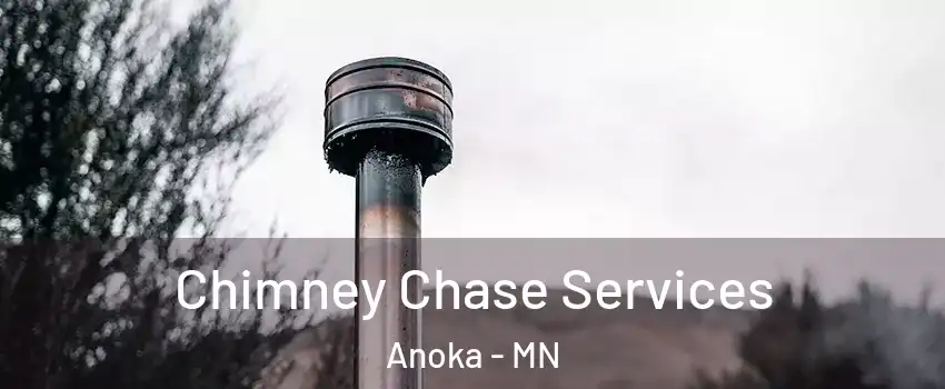  Chimney Chase Services Anoka - MN