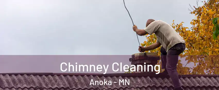  Chimney Cleaning Anoka - MN