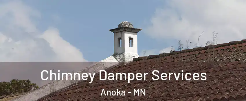  Chimney Damper Services Anoka - MN