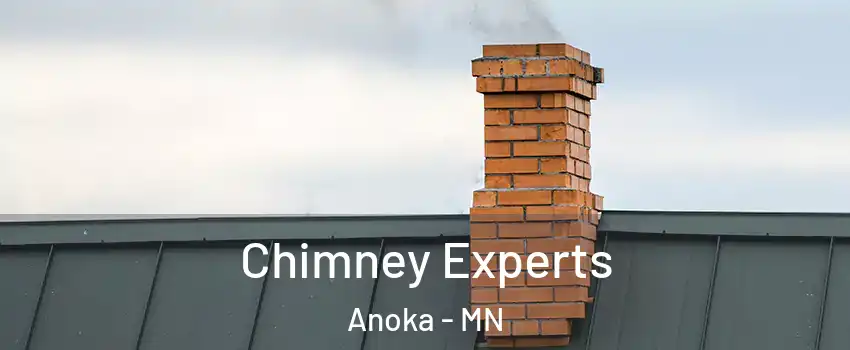 Chimney Experts Anoka - MN