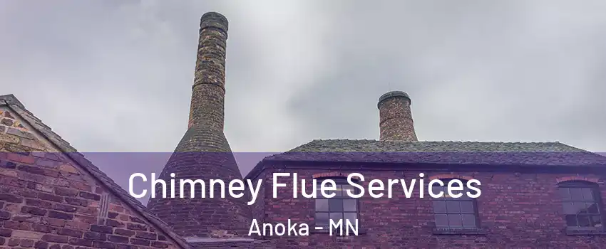 Chimney Flue Services Anoka - MN