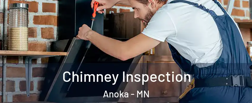  Chimney Inspection Anoka - MN
