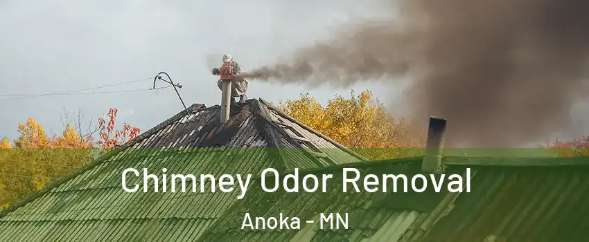  Chimney Odor Removal Anoka - MN