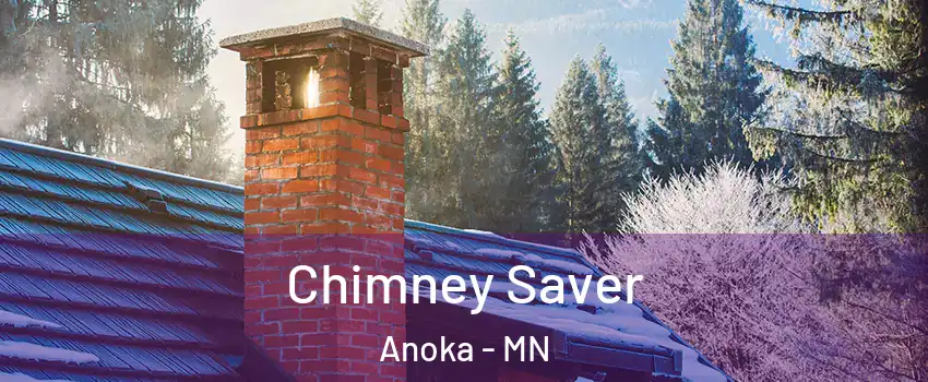  Chimney Saver Anoka - MN