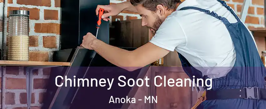  Chimney Soot Cleaning Anoka - MN