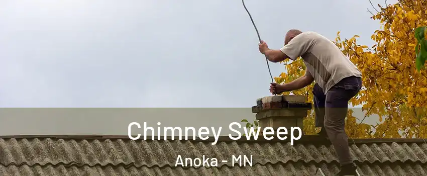  Chimney Sweep Anoka - MN