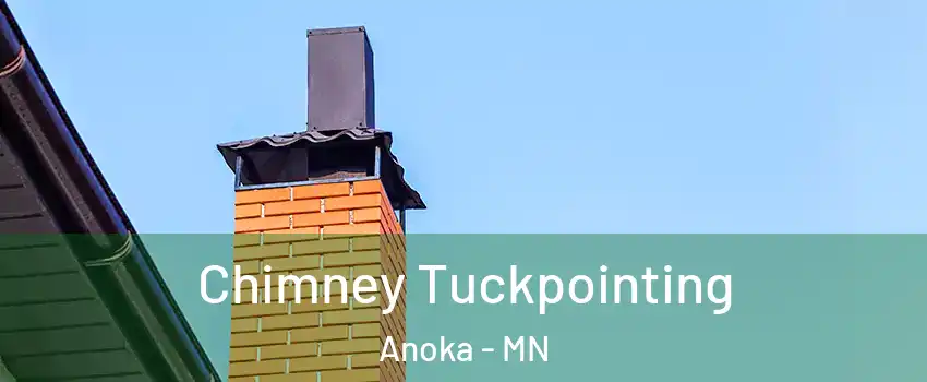  Chimney Tuckpointing Anoka - MN