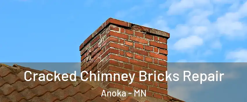 Cracked Chimney Bricks Repair Anoka - MN