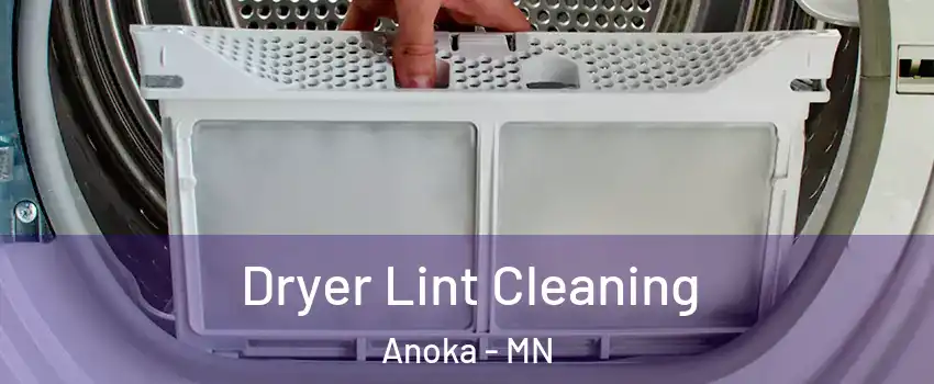  Dryer Lint Cleaning Anoka - MN