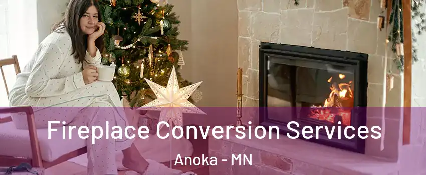  Fireplace Conversion Services Anoka - MN