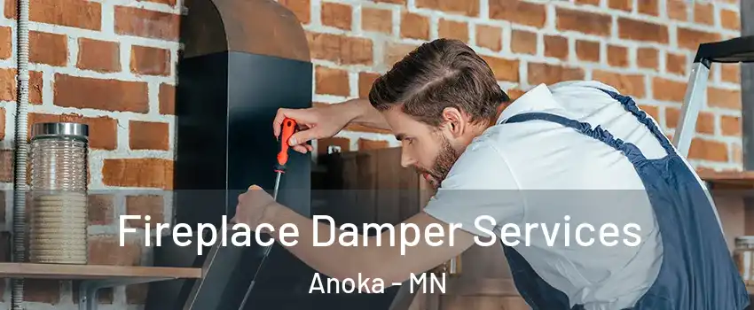  Fireplace Damper Services Anoka - MN