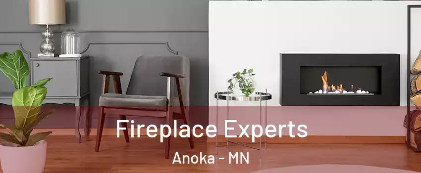  Fireplace Experts Anoka - MN