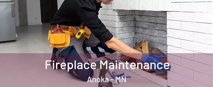  Fireplace Maintenance Anoka - MN