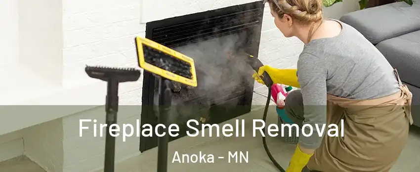  Fireplace Smell Removal Anoka - MN