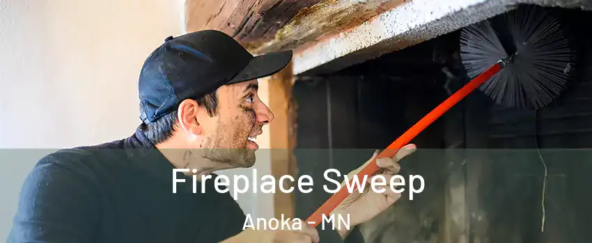  Fireplace Sweep Anoka - MN