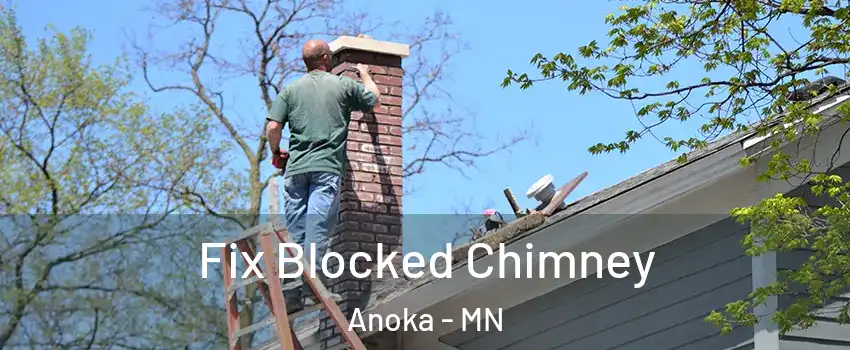  Fix Blocked Chimney Anoka - MN