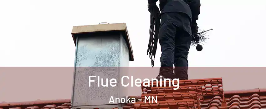  Flue Cleaning Anoka - MN