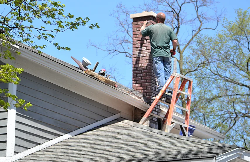 Chimney & Fireplace Inspections Services in Anoka, MN