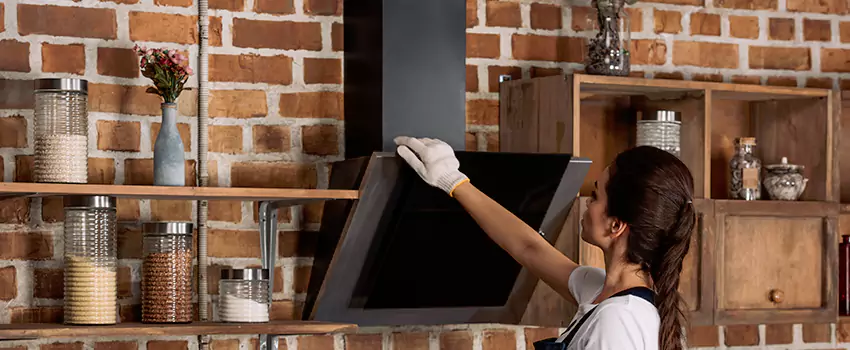 Chimney Installation in Anoka, MN