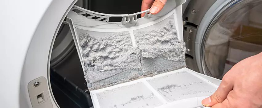 Best Dryer Lint Removal Company in Anoka, Minnesota