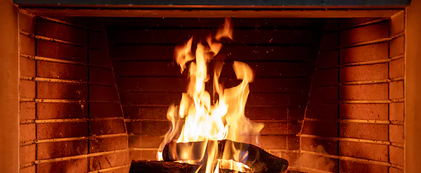 Soot Cleanup Services in Anoka, MN