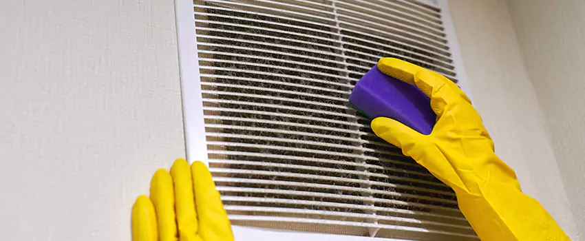 Vent Cleaning Company in Anoka, MN