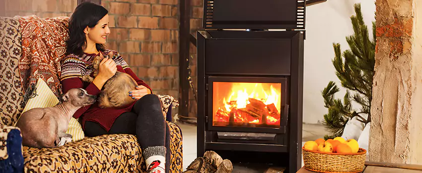 Wood Stove Chimney Cleaning Services in Anoka, MN