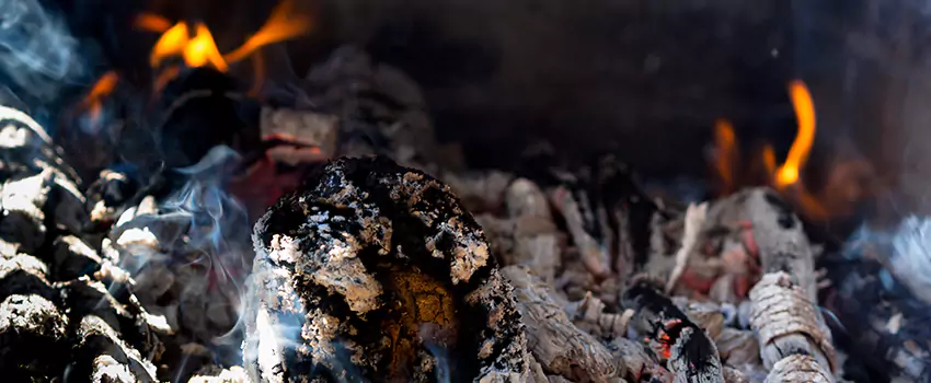 Creosote Removal Experts in Anoka, MN