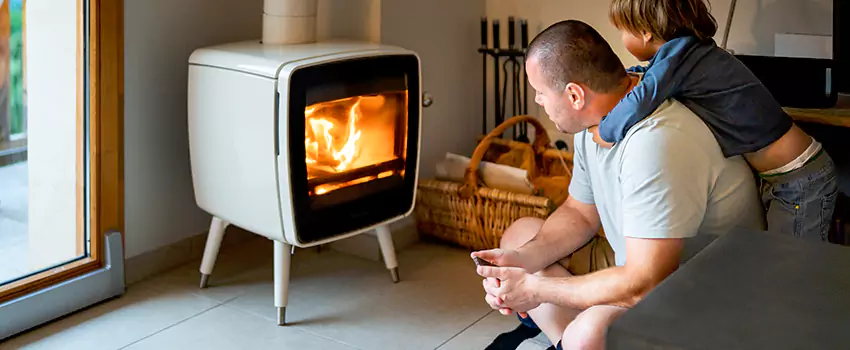 Fireplace Flue Maintenance Services in Anoka, MN