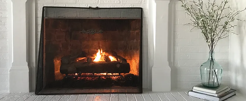 Cost-Effective Fireplace Mantel Inspection And Maintenance in Anoka, MN