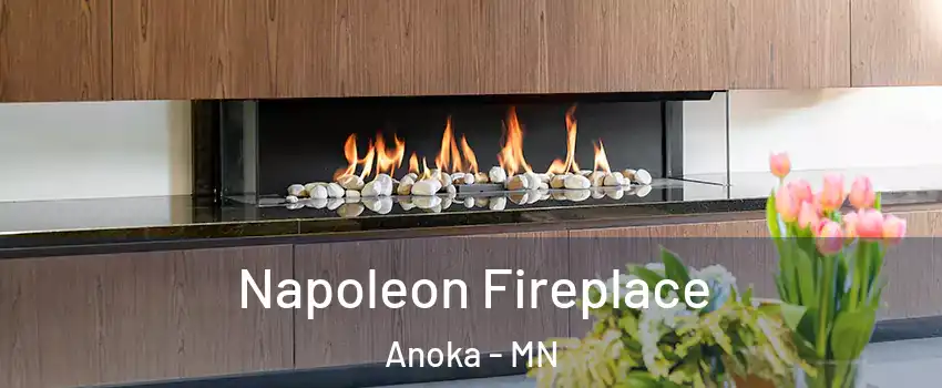  Napoleon Fireplace Anoka - MN