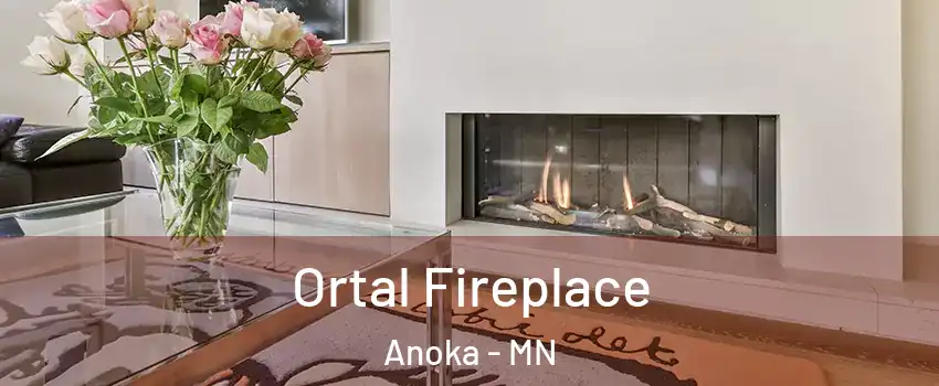  Ortal Fireplace Anoka - MN