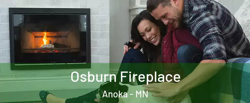  Osburn Fireplace Anoka - MN