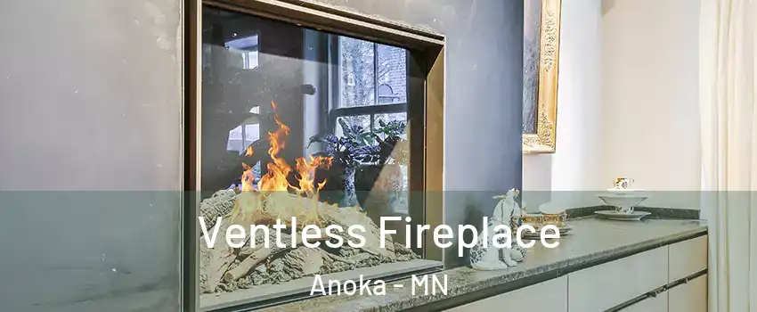  Ventless Fireplace Anoka - MN