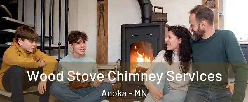 Wood Stove Chimney Services Anoka - MN